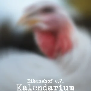 Platzhalter Cover Kalendarium 2027